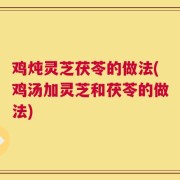 鸡炖灵芝茯苓的做法(鸡汤加灵芝和茯苓的做法)