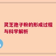 灵芝孢子粉的形成过程与科学解析