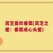 灵芝喜欢香菜(灵芝之爱：香菜成心头爱)