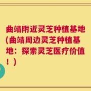 曲靖附近灵芝种植基地(曲靖周边灵芝种植基地：探索灵芝医疗价值！)