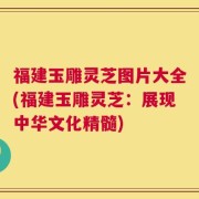 福建玉雕灵芝图片大全(福建玉雕灵芝：展现中华文化精髓)