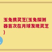 玉兔携灵芝(玉兔探测器首次在月球发现灵芝)