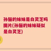 孙俪的妹妹是白灵芝吗图片(孙俪的妹妹疑似是白灵芝)