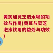黄芪加灵芝泡水喝的功效与作用(黄芪与灵芝泡水饮用的益处与功效)