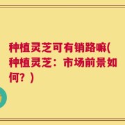 种植灵芝可有销路嘛(种植灵芝：市场前景如何？)