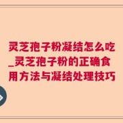 灵芝孢子粉凝结怎么吃_灵芝孢子粉的正确食用方法与凝结处理技巧