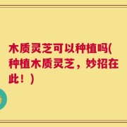 木质灵芝可以种植吗(种植木质灵芝，妙招在此！)