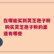 在哪能买到灵芝孢子粉 购买灵芝孢子粉的渠道有哪些