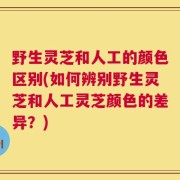 野生灵芝和人工的颜色区别(如何辨别野生灵芝和人工灵芝颜色的差异？)