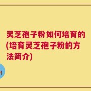 灵芝孢子粉如何培育的(培育灵芝孢子粉的方法简介)