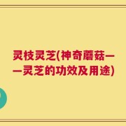 灵枝灵芝(神奇蘑菇——灵芝的功效及用途)