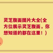 灵芝腹面图片大全(全方位展示灵芝腹面，你想知道的都在这里！)