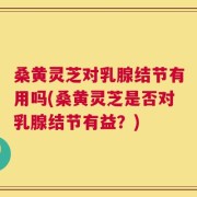 桑黄灵芝对乳腺结节有用吗(桑黄灵芝是否对乳腺结节有益？)