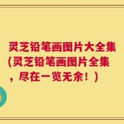 灵芝铅笔画图片大全集(灵芝铅笔画图片全集，尽在一览无余！)