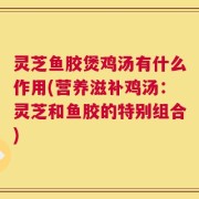 灵芝鱼胶煲鸡汤有什么作用(营养滋补鸡汤：灵芝和鱼胶的特别组合)