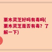 栗木灵芝好吗有毒吗(栗木灵芝是否有毒？了解一下)