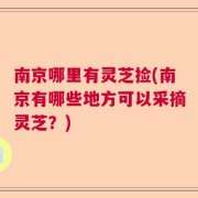 南京哪里有灵芝捡(南京有哪些地方可以采摘灵芝？)