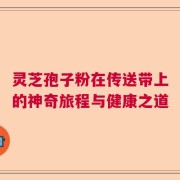 灵芝孢子粉在传送带上的神奇旅程与健康之道