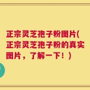 正宗灵芝孢子粉图片(正宗灵芝孢子粉的真实图片，了解一下！)