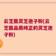 云芝凰灵芝孢子粉(云芝凰品质纯正的灵芝孢子粉)