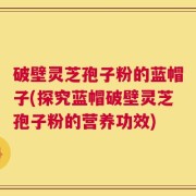 破壁灵芝孢子粉的蓝帽子(探究蓝帽破壁灵芝孢子粉的营养功效)