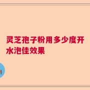 灵芝孢子粉用多少度开水泡佳效果