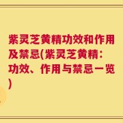 紫灵芝黄精功效和作用及禁忌(紫灵芝黄精：功效、作用与禁忌一览)