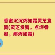 香蜜沉沉烬如霜灵芝发簪(灵芝发簪，点燃香蜜，那烬如霜)