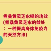 煮桑黄灵芝水喝的功效(煮桑黄灵芝水的益处：一种提高身体免疫力的天然方法)