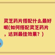 灵芝药片搭配什么最好呢(如何搭配灵芝药片，达到最佳效果？)