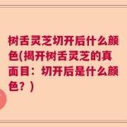 树舌灵芝切开后什么颜色(揭开树舌灵芝的真面目：切开后是什么颜色？)