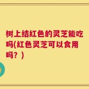 树上结红色的灵芝能吃吗(红色灵芝可以食用吗？)