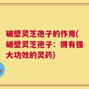 破壁灵芝孢子的作用(破壁灵芝孢子：拥有强大功效的灵药)