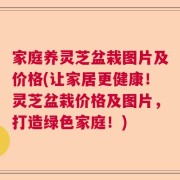 家庭养灵芝盆栽图片及价格(让家居更健康！灵芝盆栽价格及图片，打造绿色家庭！)