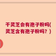 干灵芝会有孢子粉吗(灵芝含有孢子粉吗？)