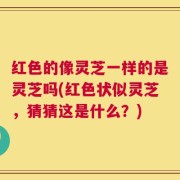 红色的像灵芝一样的是灵芝吗(红色状似灵芝，猜猜这是什么？)