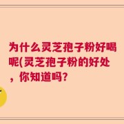 为什么灵芝孢子粉好喝呢(灵芝孢子粉的好处，你知道吗？
