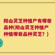 阳山灵芝种植户有哪些品种(阳山灵芝种植户种植哪些品种灵芝？)