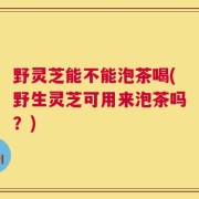 野灵芝能不能泡茶喝(野生灵芝可用来泡茶吗？)