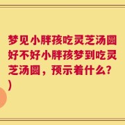 梦见小胖孩吃灵芝汤圆好不好小胖孩梦到吃灵芝汤圆，预示着什么？)