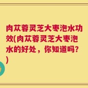 肉苁蓉灵芝大枣泡水功效(肉苁蓉灵芝大枣泡水的好处，你知道吗？)