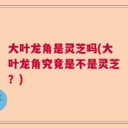 大叶龙角是灵芝吗(大叶龙角究竟是不是灵芝？)