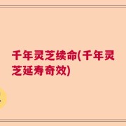 千年灵芝续命(千年灵芝延寿奇效)