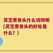 灵芝煮骨头什么功效呢(灵芝煮骨头的好处是什么？)