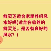 鲜灵芝适合家里养吗风水好吗(适合在家养的鲜灵芝，是否有良好的风水？)