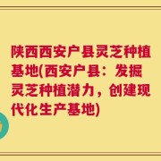 陕西西安户县灵芝种植基地(西安户县：发掘灵芝种植潜力，创建现代化生产基地)
