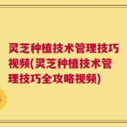 灵芝种植技术管理技巧视频(灵芝种植技术管理技巧全攻略视频)