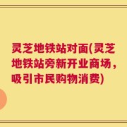 灵芝地铁站对面(灵芝地铁站旁新开业商场，吸引市民购物消费)