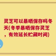 灵芝可以暴晒保存吗冬天(冬季暴晒保存灵芝，有效延长贮藏时间)