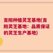 吉阳种植灵芝基地(吉阳灵芝基地：品质保证的灵芝生产基地)